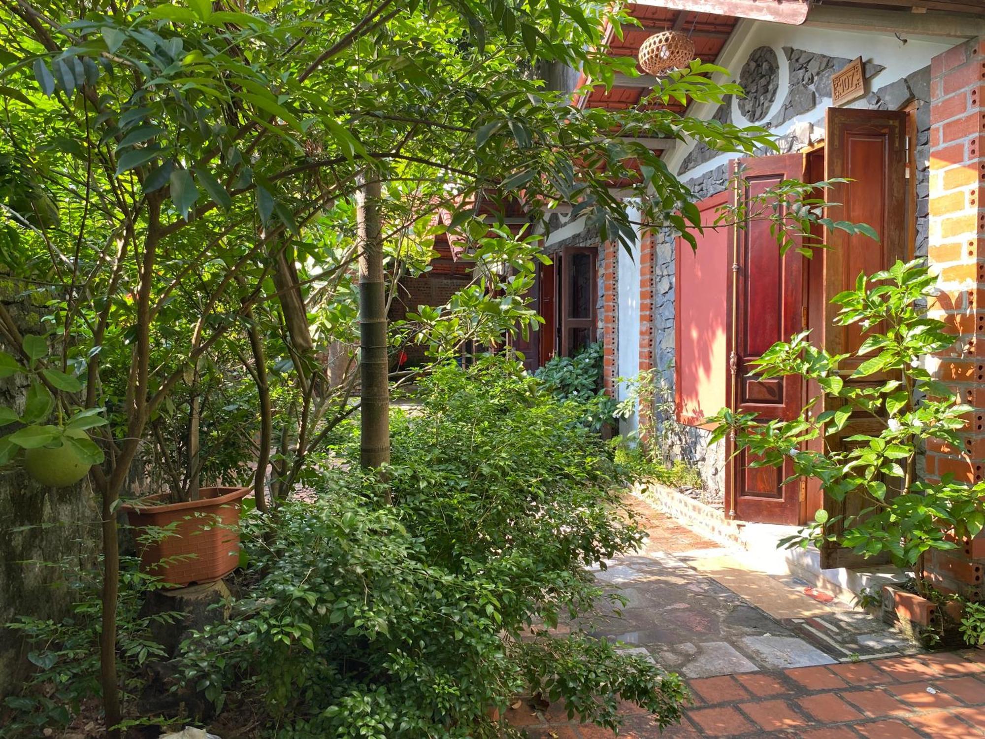 Tam Coc Ngo Dong Homestay نينه بينه المظهر الخارجي الصورة